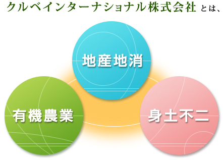 クルベインターナショナル株式会社とは
